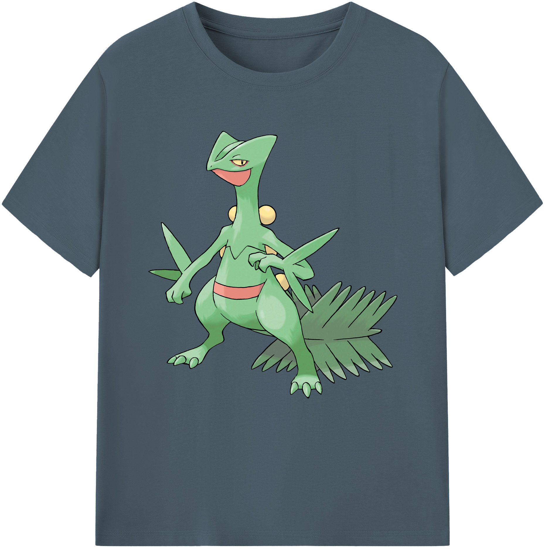 （画像用） ポケットモンスター Pokémon 綿100％半袖Tシャツ（フロントプリント）